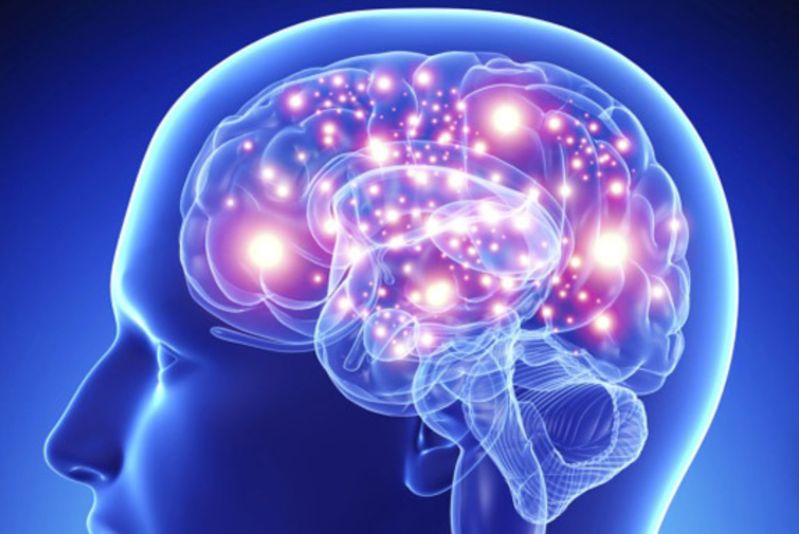 Cognitive Biases 101