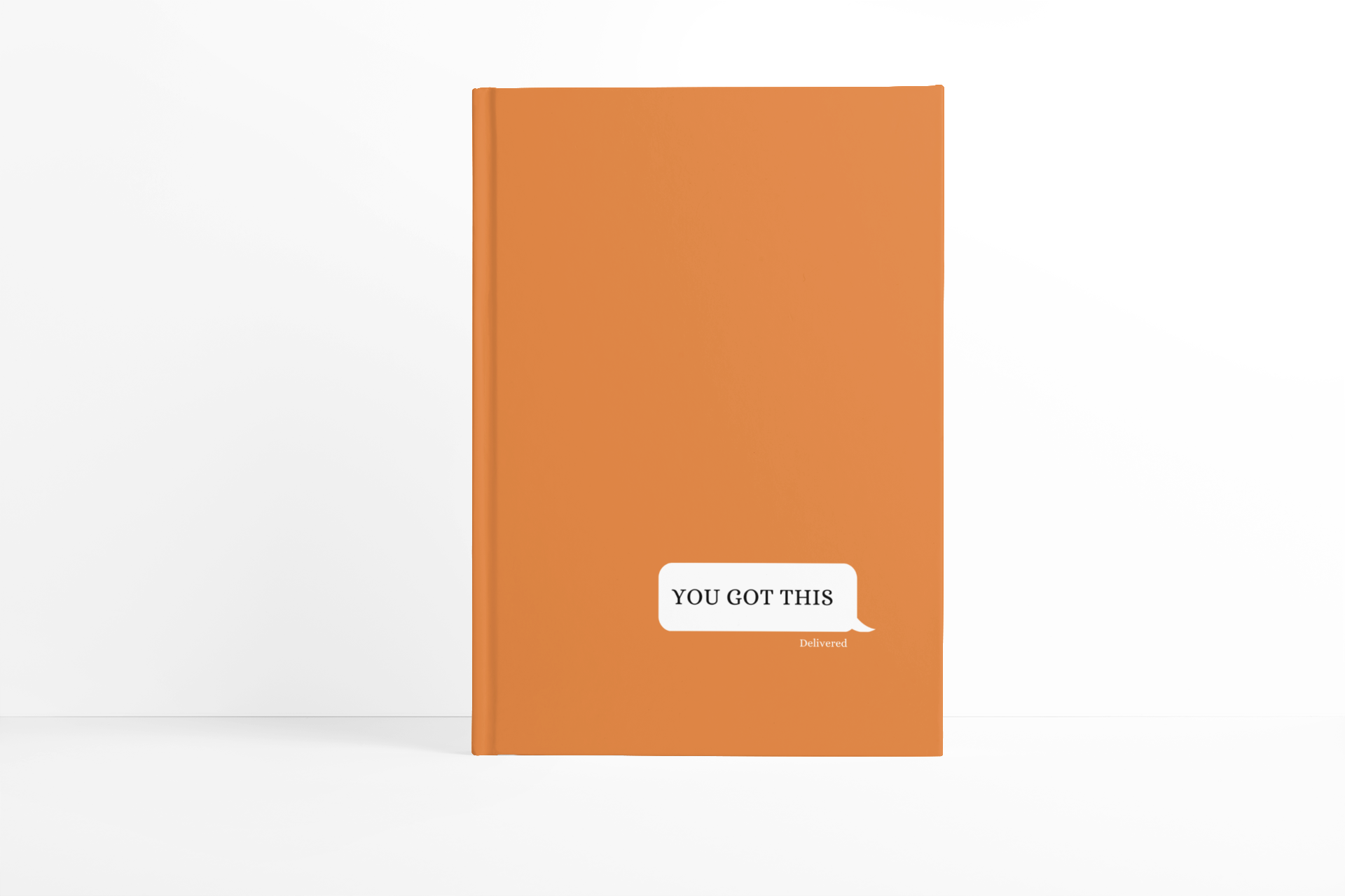 You got this Notebook